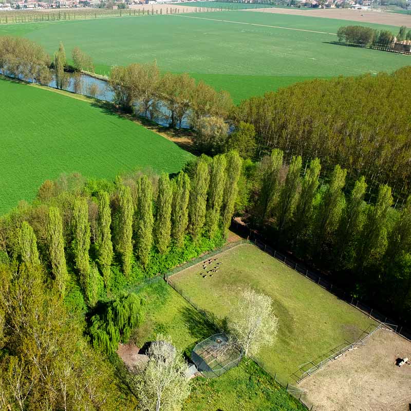 azienda agricola 