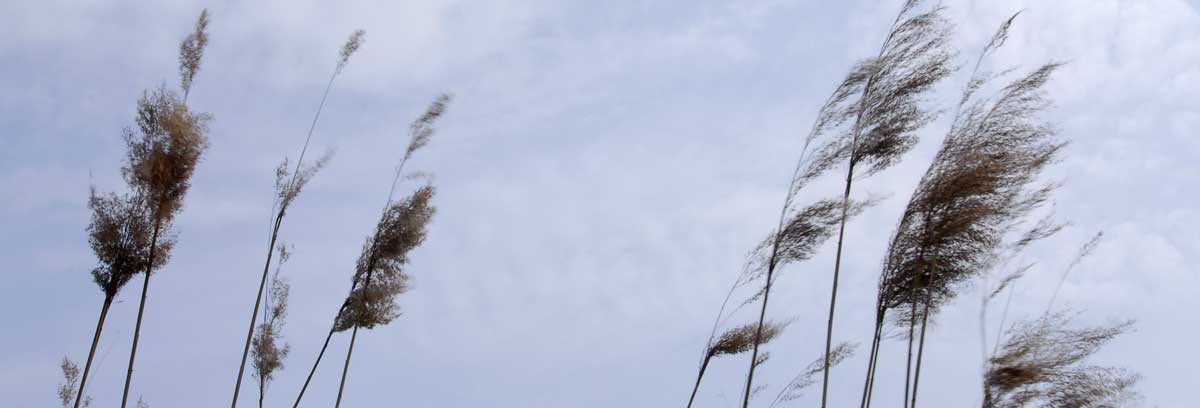 tempo libero all'oasi naturale le pradine
